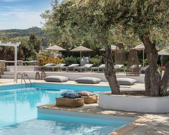 Verina Terra - Platis Gialos - Pool