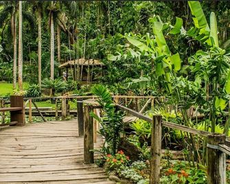 Island Accommodation Nadi - Nadi