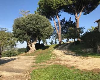 Agriturismo Il Poderino - Tarquinia