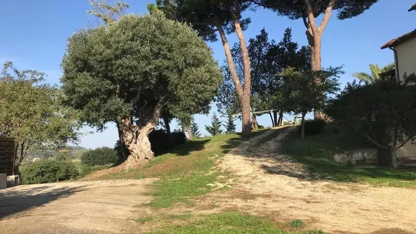 Agriturismo Il Poderino