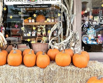Storybook House in Prime Catskills Location 5 Min to Town/10 Min to Hudson River - 索格蒂斯 - 餐廳