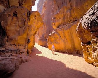 Sleep Under The Stars Wadi Rum Desert - Valle de la Luna