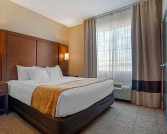 Comfort Suites Alexandria North - Alexandria - Habitación