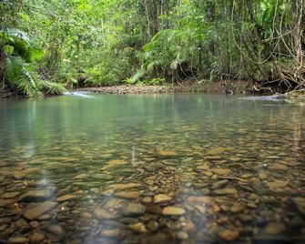 Daintree Wilderness Lodge - Cape Tribulation - Outdoor view