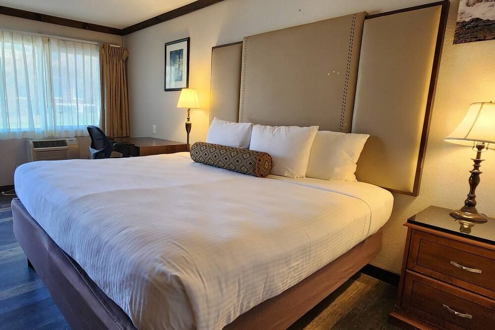 ذا داليس إن