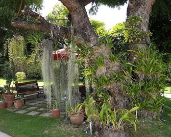 Kingston Cottage - Kingston - Dış görünüm