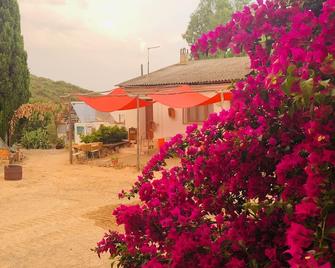 La Casina Rurale In Our Garden - Quartu Sant'Elena - Outdoors view