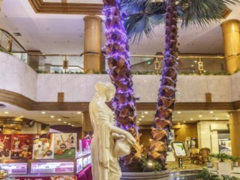 ليوانج بيوني بلازا هوتل - لويانغ - ردهة