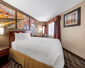 Days Inn by Wyndham St. Robert Waynesville/Ft. Leonard Wood - סנט רוברט - חדר שינה