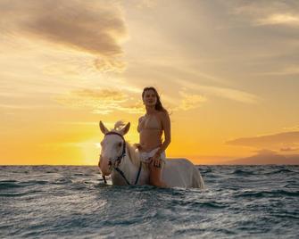 كوكانا ريزورت جيلي تراوانجان - Gili Trawangan