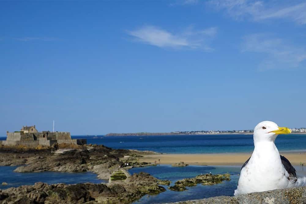 B&B HOTEL Saint Malo Sud thumbnail 3