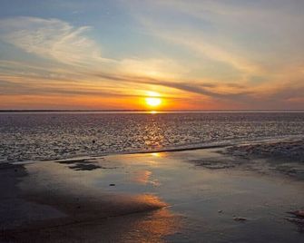 Sunset Shanty is the place to be-Relax at the Shanty! Say 'Cheeseburger' - Pigeon - Beach