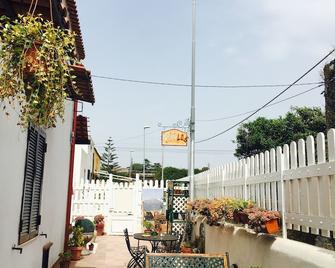 بي آند بي بومبايلوج - بومباي - شرفة مرصوفة