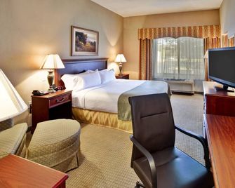 Holiday Inn & Suites Ann Arbor Univ. Michigan Area By IHG - Ann Arbor - Soverom