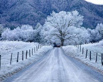 Cozy up to Beary Cozy - Pigeon Forge - Outdoor view