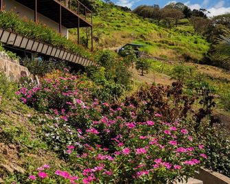 Finca Aquarius - Monteverde - Buiten zicht