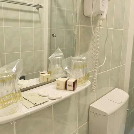 Hotel Transilvania image 1