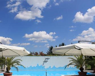 Superior Hotel Schreiner - Deutschkreutz - Pool