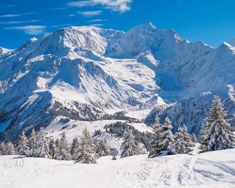 Appartement Bellachat 10 ski in-ski out - Happy Rentals - Les Houches - Vista del exterior