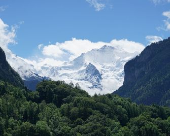 Edelweiss Lodge - Wilderswil - Venkovní prostory