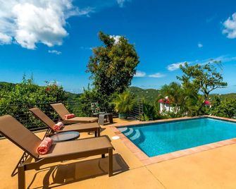 Huge Coral Bay and BVI view, private, pool, gardens, perfect for couples or FAM. - Сент-Джон - Басейн