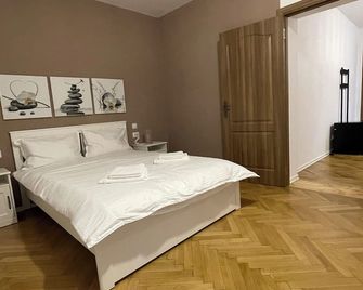 Schei Central Studios in the heart of Brasov - Brasov - Quarto