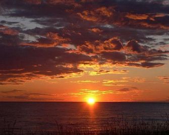 The Poppy Room - #14 - Whitehall - Outdoor view