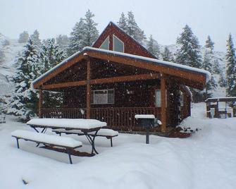 Roomy Taylor Canyon Cabin With Private Fishing Access - Almont - Building