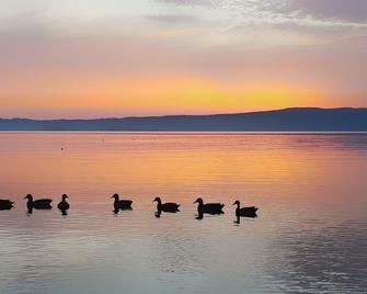 La Casa di Alberto - Bolsena - Vista esterna