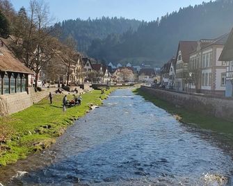 Gasthof Sonne - Schiltach - Вигляд зовні