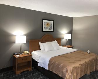 Quality Inn - Rochester - Bedroom