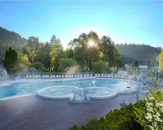 Terme Topolsica - Hotel Vesna - Topolšica - Pool