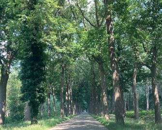 Apartment in Wortel Hoogstraten - Hoogstraten - Outdoor view