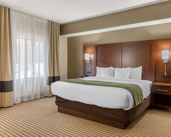 Comfort Suites Johnson City near University - Johnson City - Bedroom