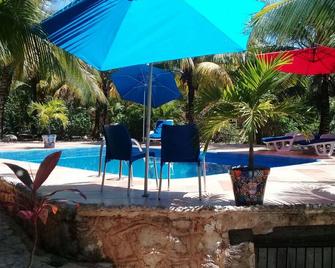 Casa de Las Tortugas I Tour Akumal - Akumal - Piscina