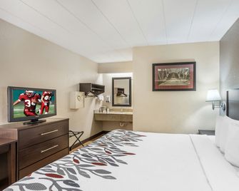 Red Roof Inn Danville, PA - Danville - Slaapkamer