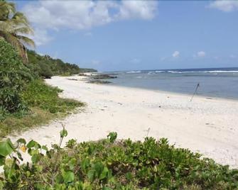 Alofa Beach Bungalows - Tanna - Playa