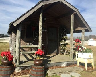 Rustic Cabin Rental On Secluded Farmland - Dunn