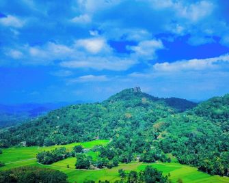 Rocksana Fortress Yoga & Retreat - Mawanella - Outdoors view
