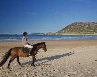 Joyce's Carndonagh Inishowen - Carndonagh - Beach