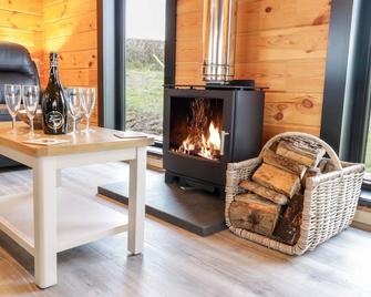 Bryn Eiddon Log Cabin - Machynlleth - Living room
