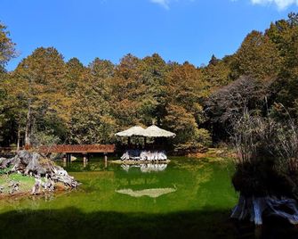 Gau Shan Ching Hotel - Alishan Township - Vista del exterior