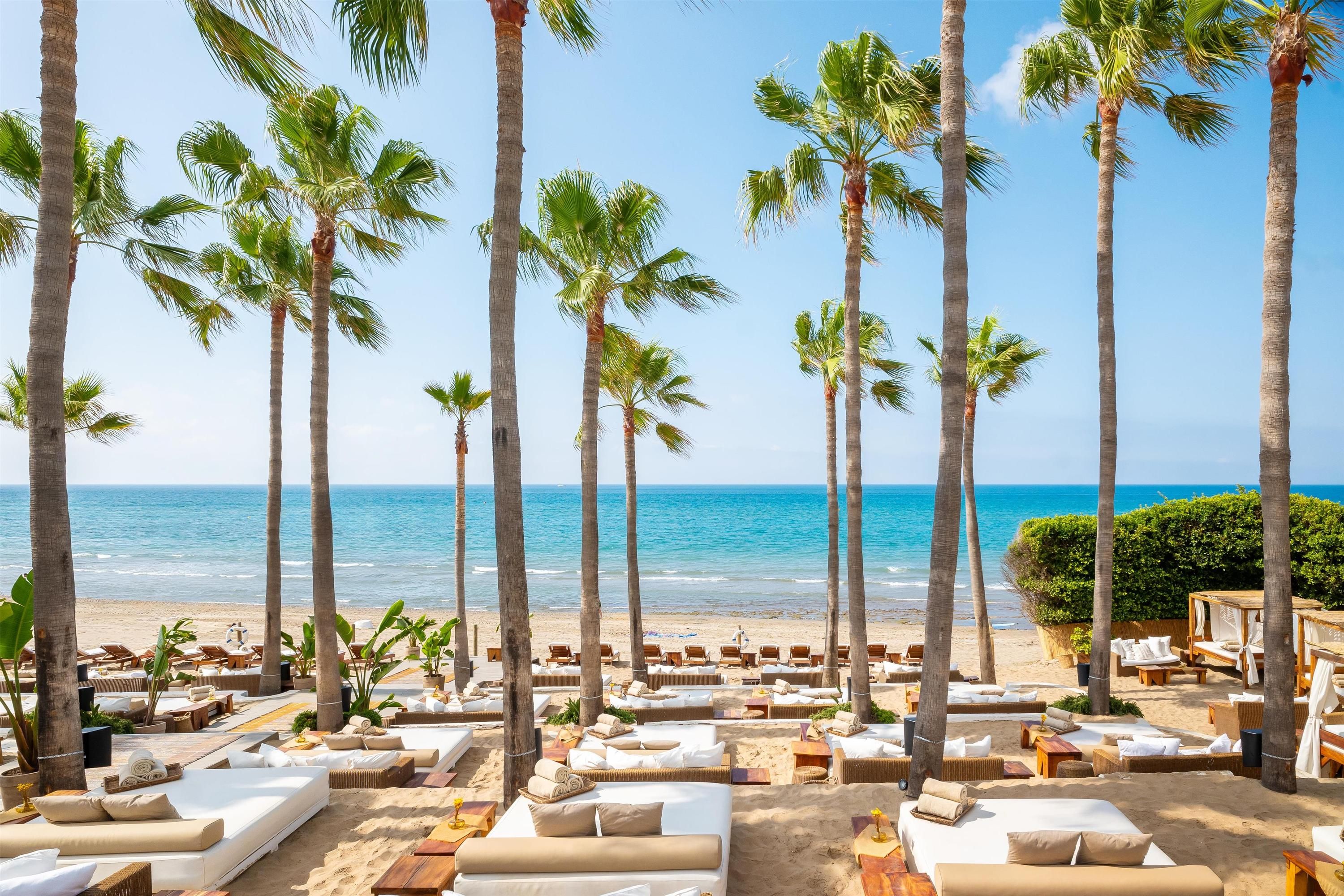 دون كارلوس ماربيلا