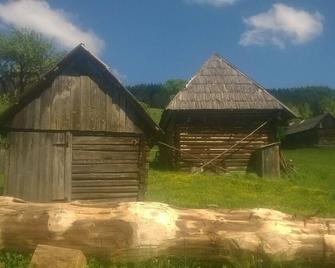 Transylvanian Mountain Paradise 1--experience and live the ancient atmosphere - Ghimeş-Făget - 야외뷰