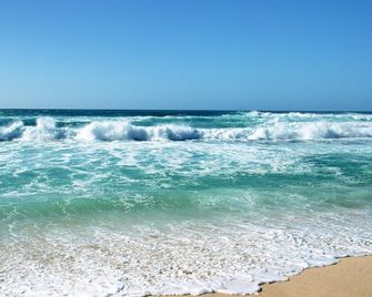 Beach Lodge Motels - Dunedin - Playa