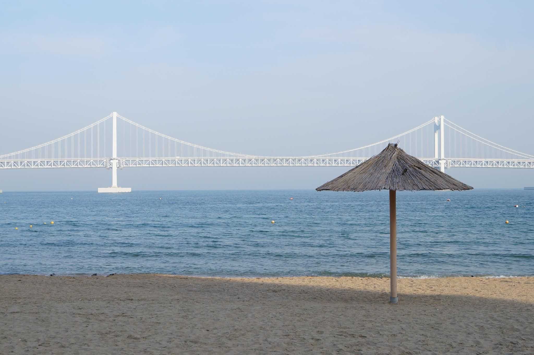 Busan Yeonsan Shire - פוסן - חוף