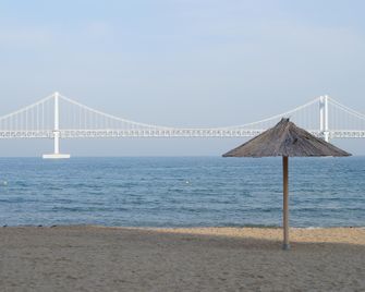 Busan Yeonsan Togok Brown Dot - Busán - Playa