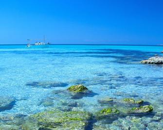 Formentera Day&night Boat - La Savina - Beach