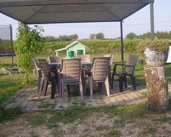cottage 8 people 4 bedrooms 3 stars in a farmhouse surrounded by vineyards - Saint-Hilaire-de-Brethmas - Patio