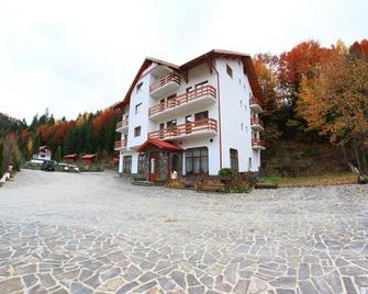 Hotel Paltinis - Borşa - Gebouw